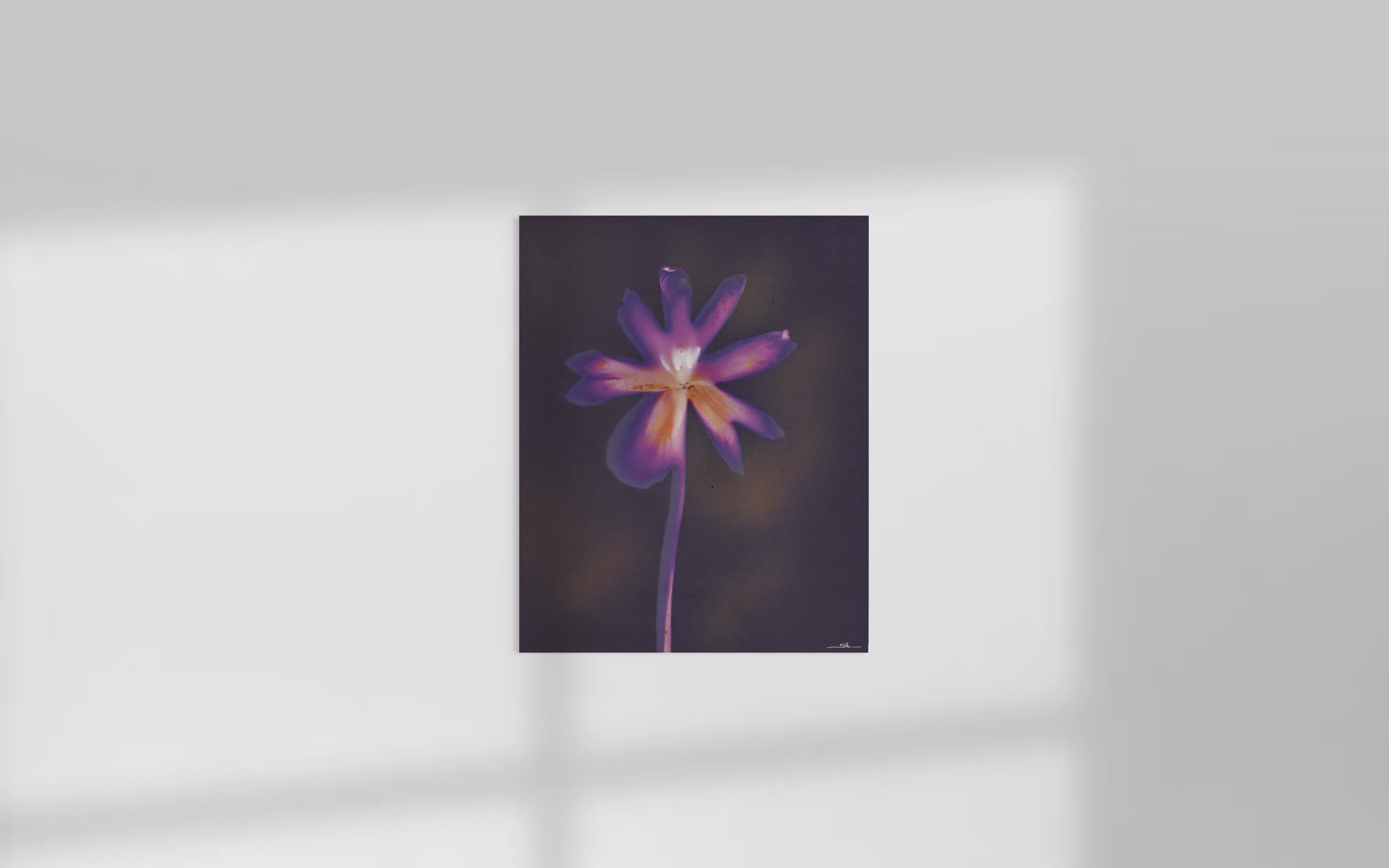 Lumen Flora I
