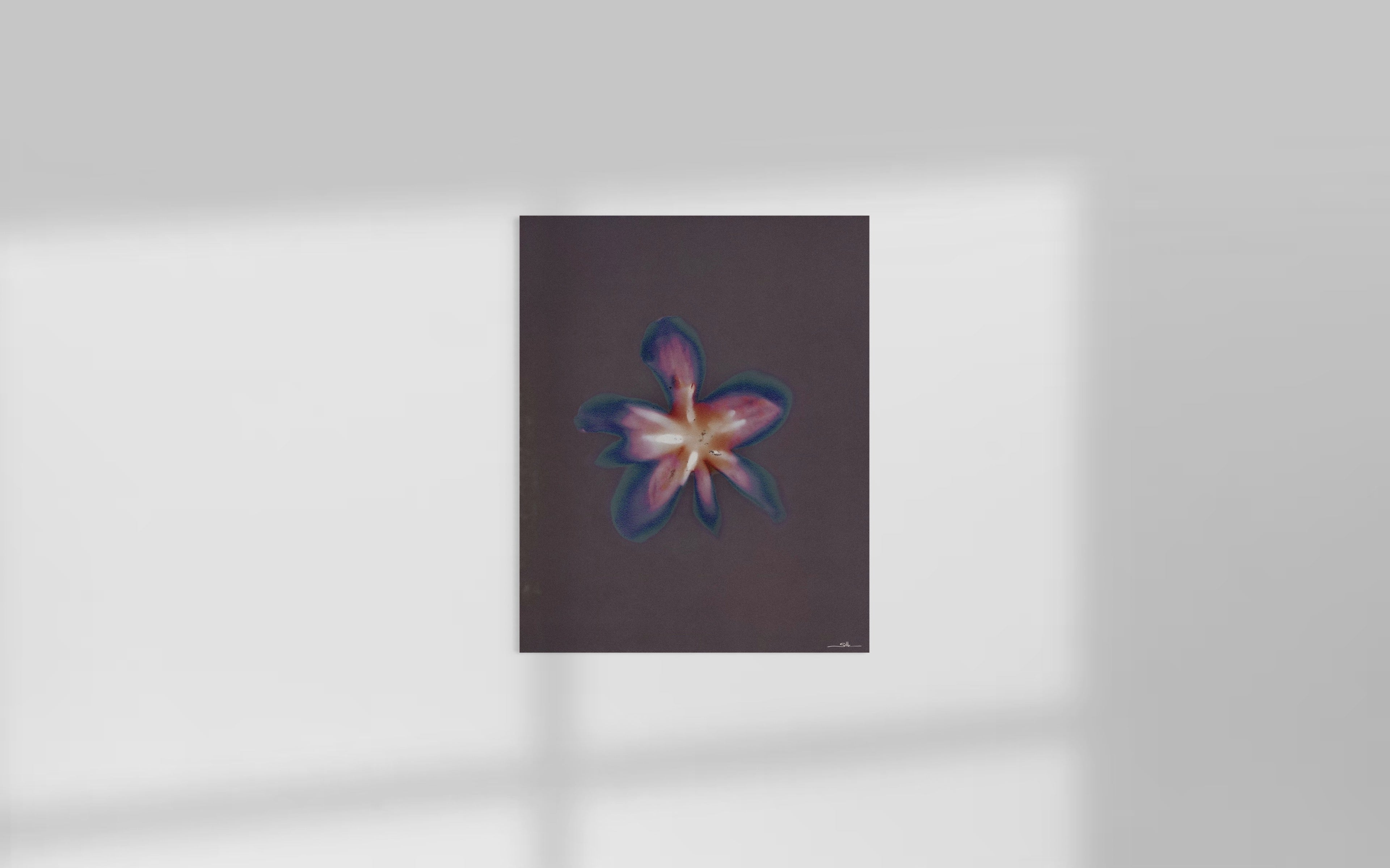 Lumen Flora III