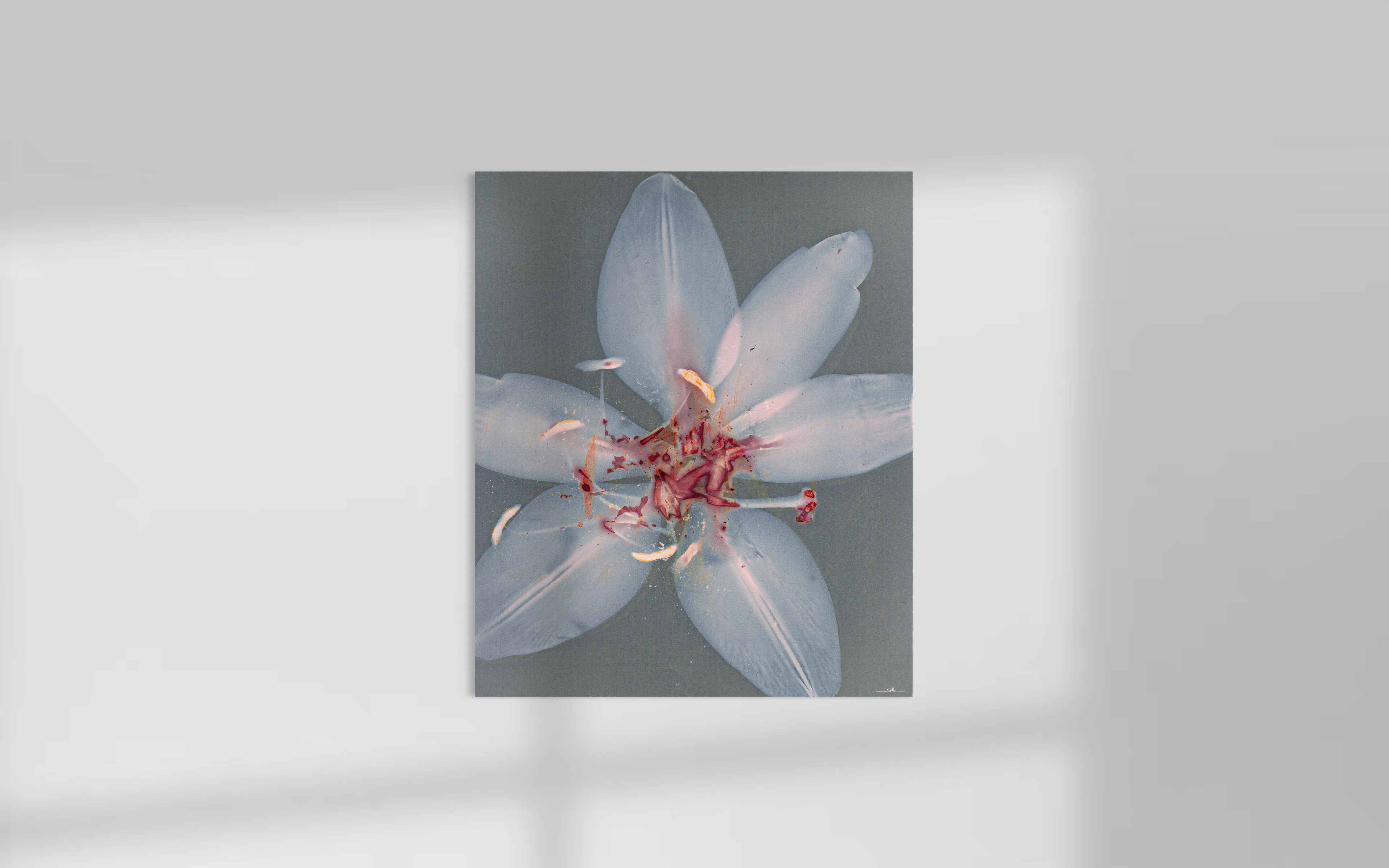 Lumen Lily