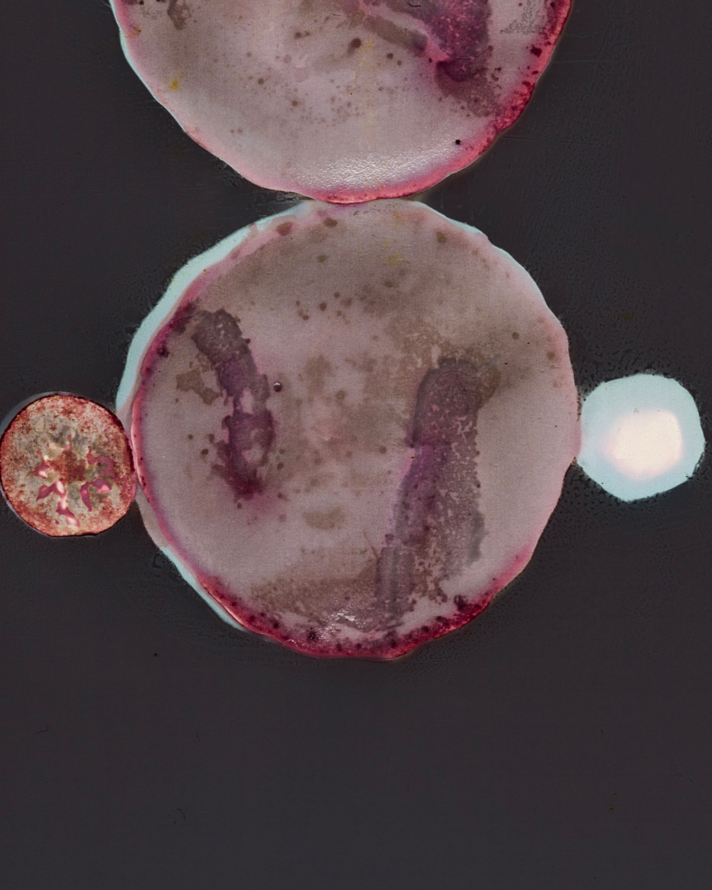 Lumen Salad I