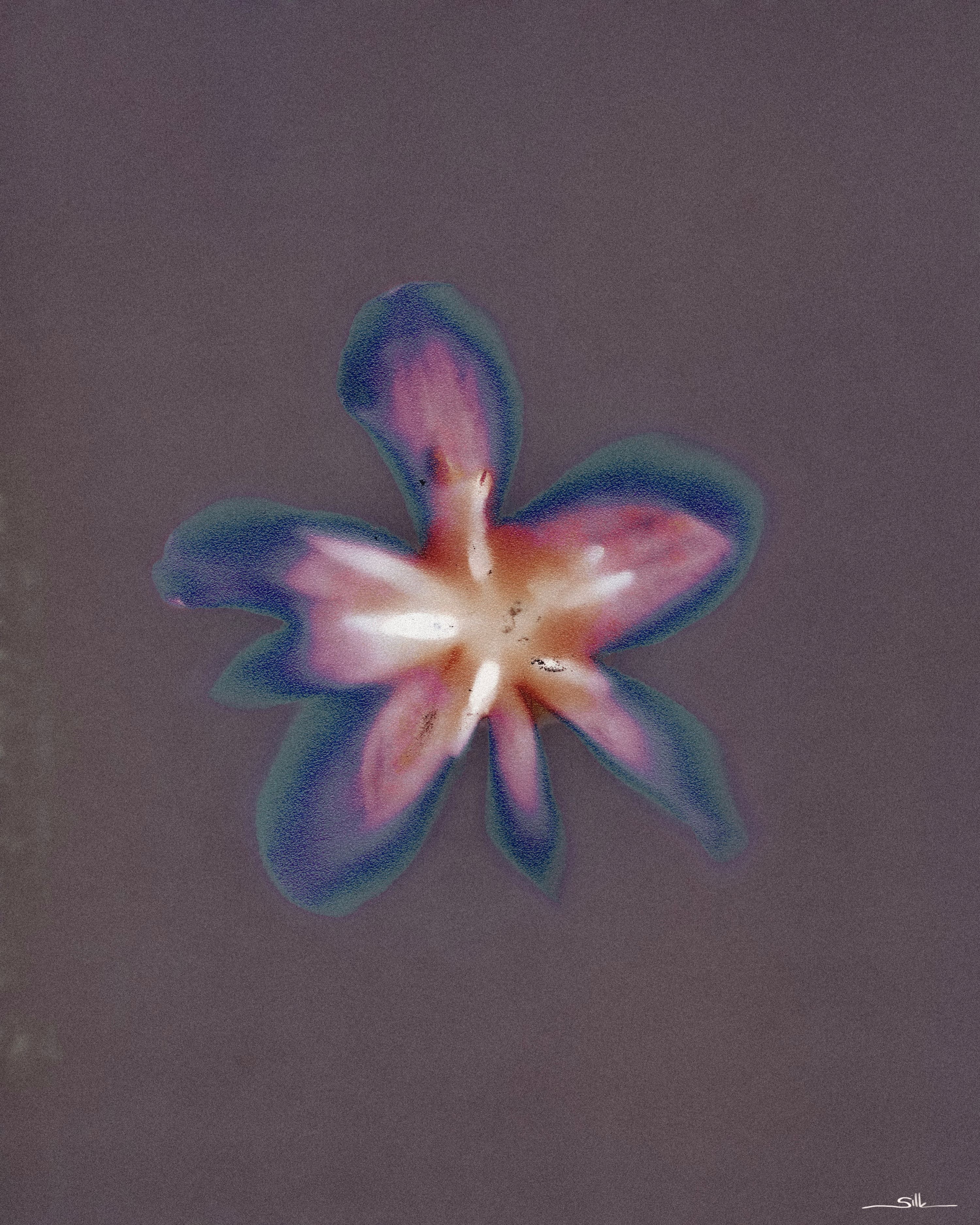 Lumen Flora III