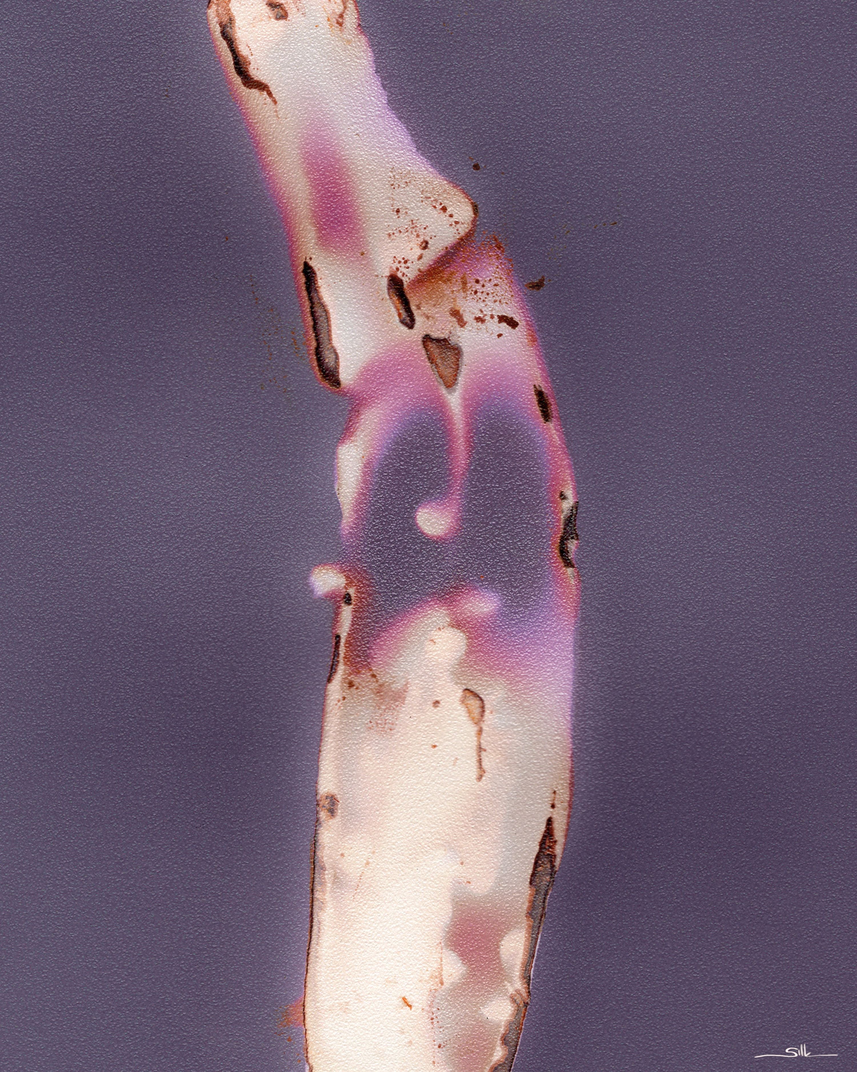 Lumen Form
