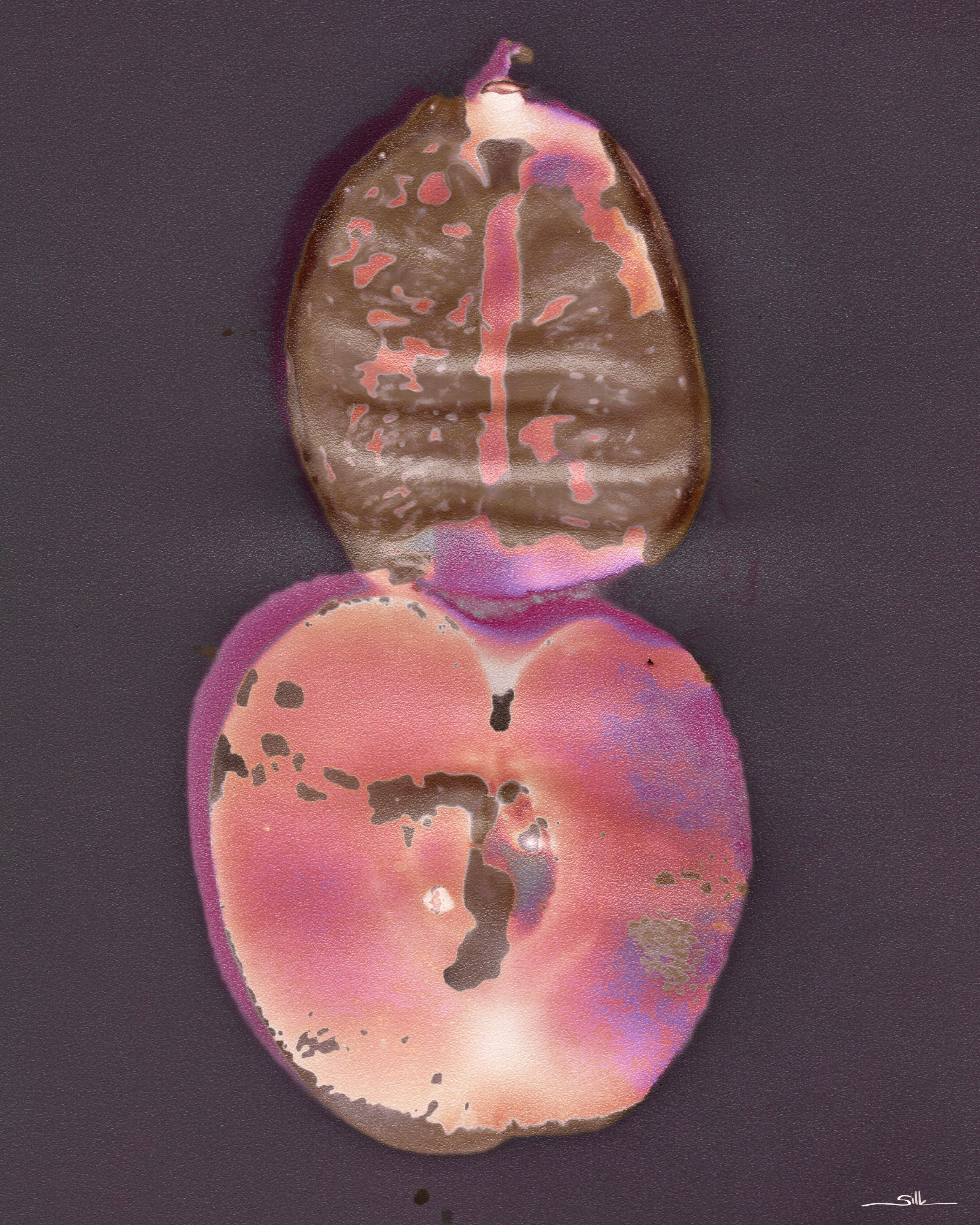 Lumen Fruit