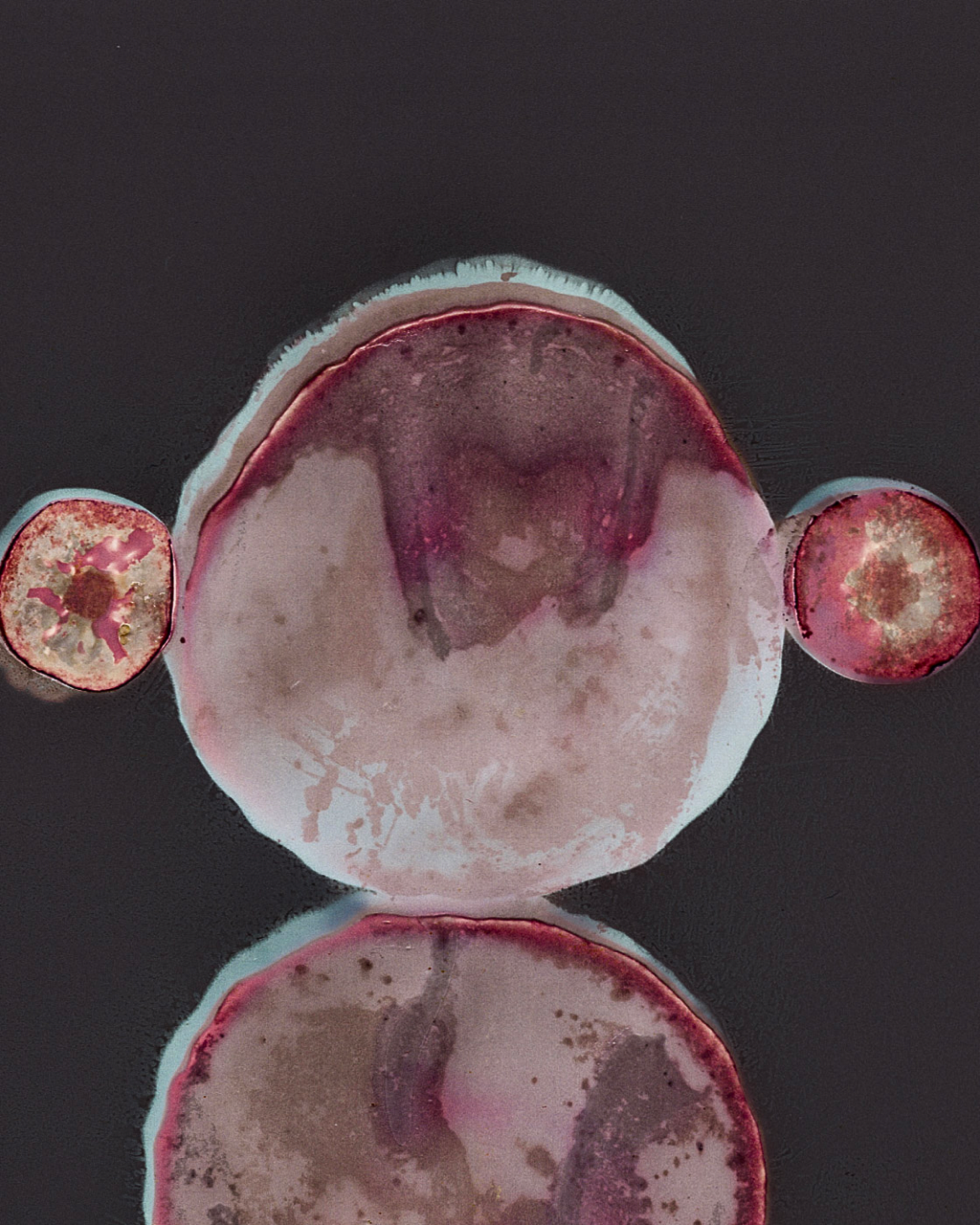 Lumen Salad II