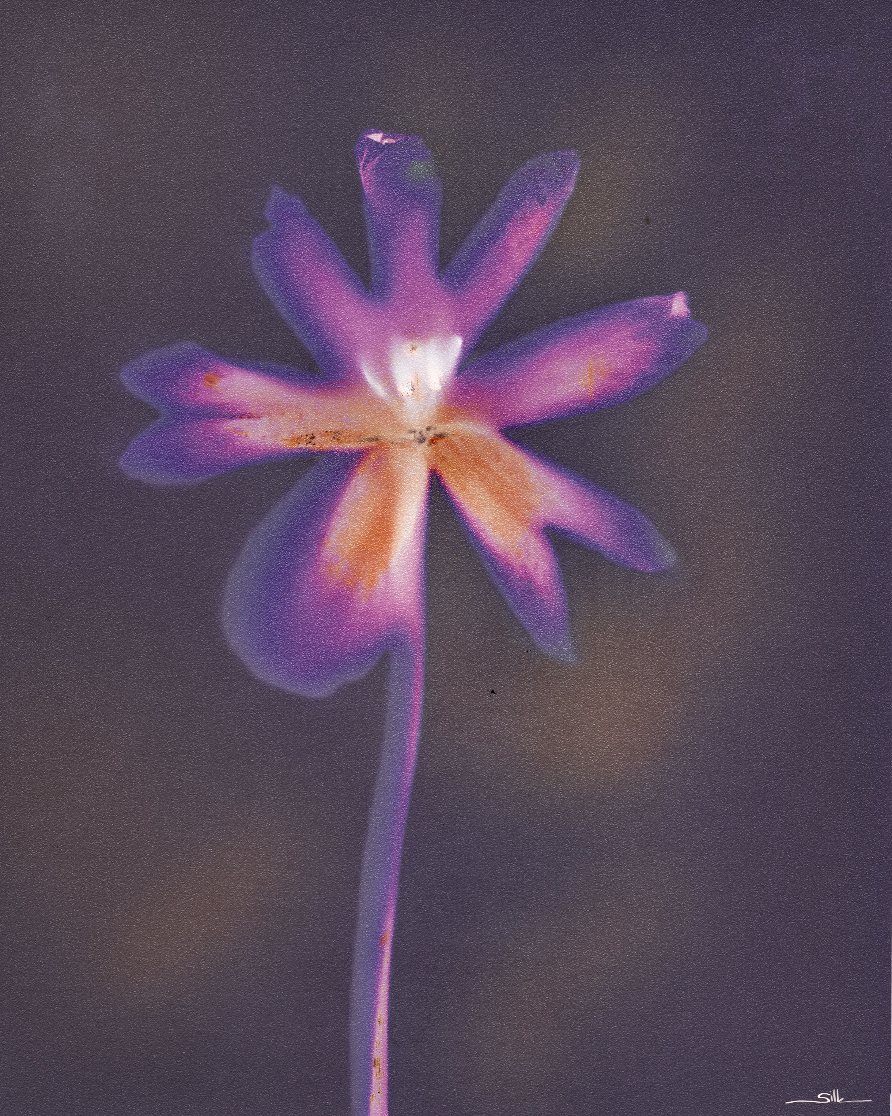 Lumen Flora I